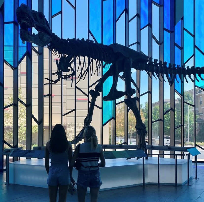 Dinosaur skeleton in Museum at Prairiefire 