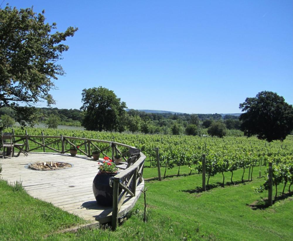 Celebrating Sussex wine during English Wine Week