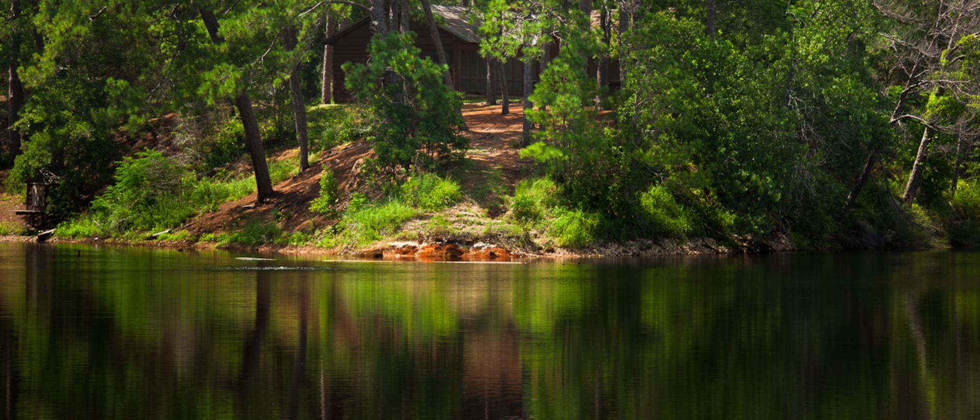 Visit Bastrop State Park Enjoy The Pool Lake Hiking Trail