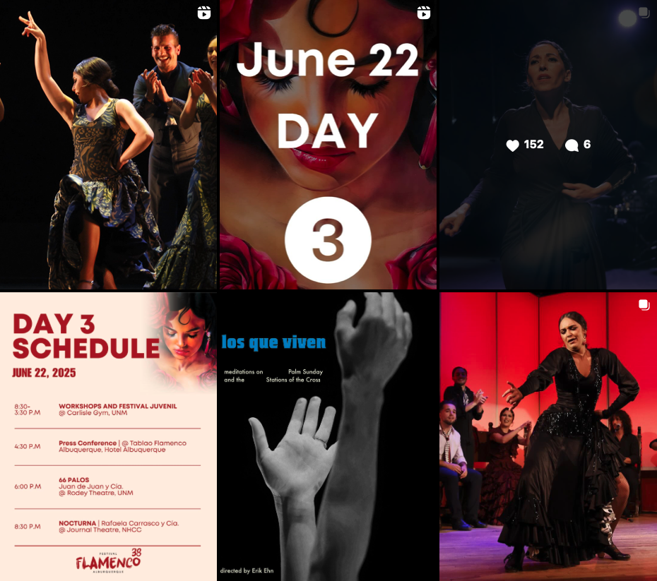 A screenshot of the National Institute of Flamenco's Instagram.