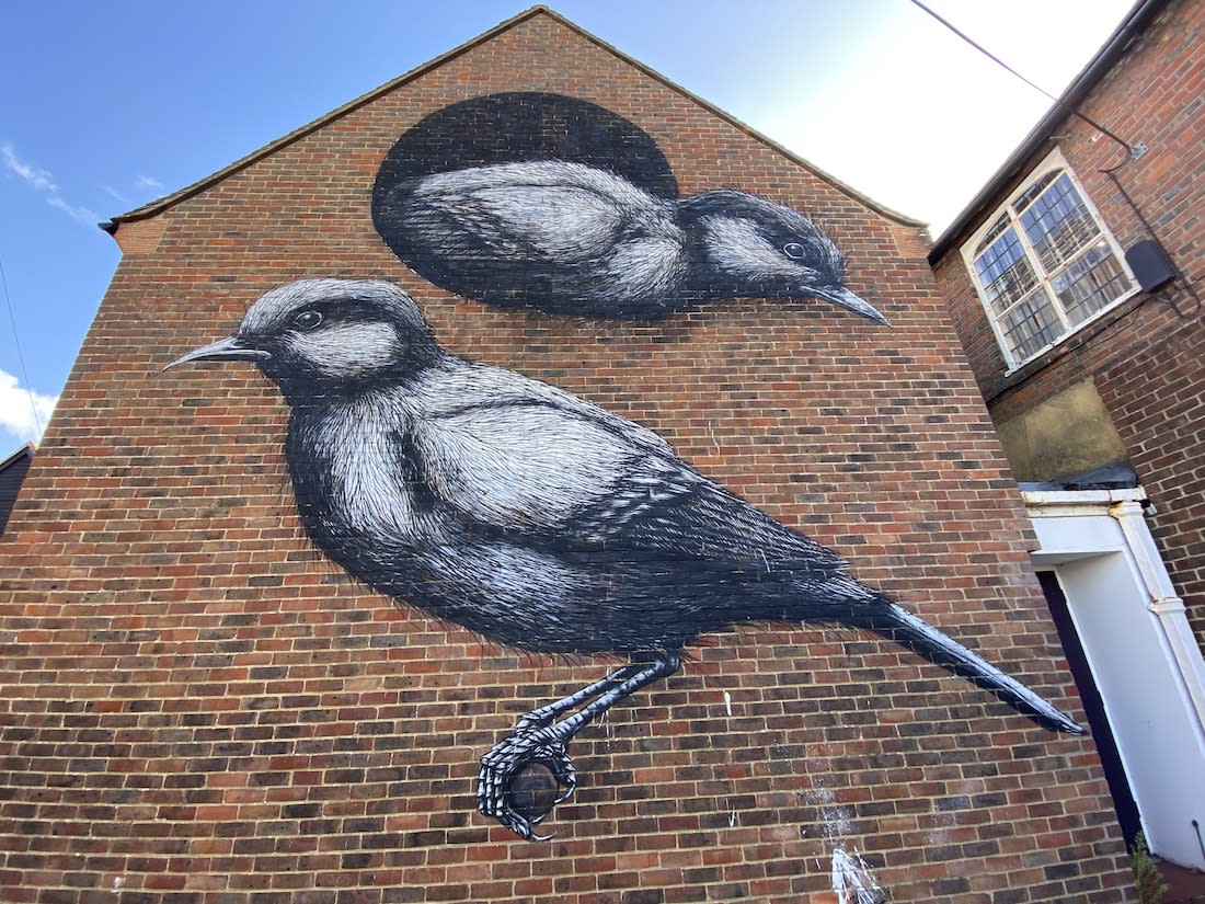 Birds Chichester Street Art