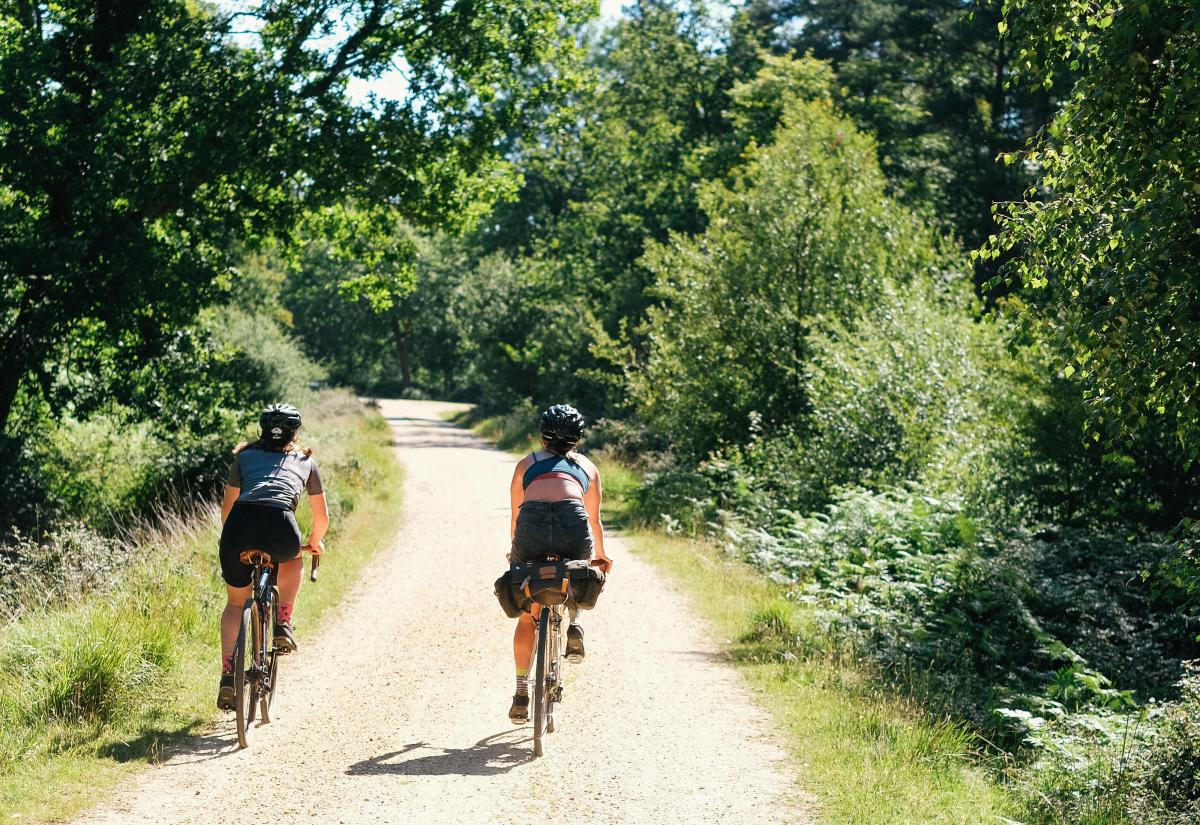 2 people cycling along path in the New Forest