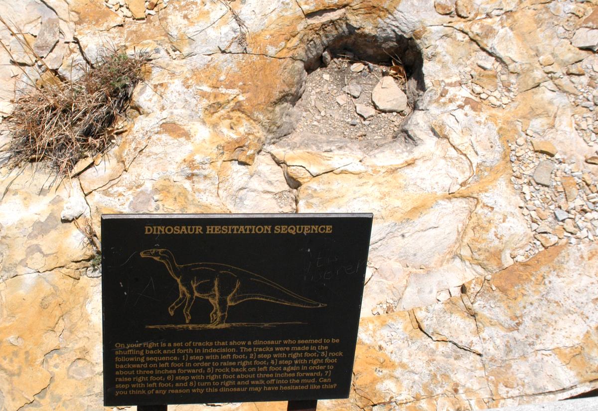 Dinosaur Tracks at Clayton Lake