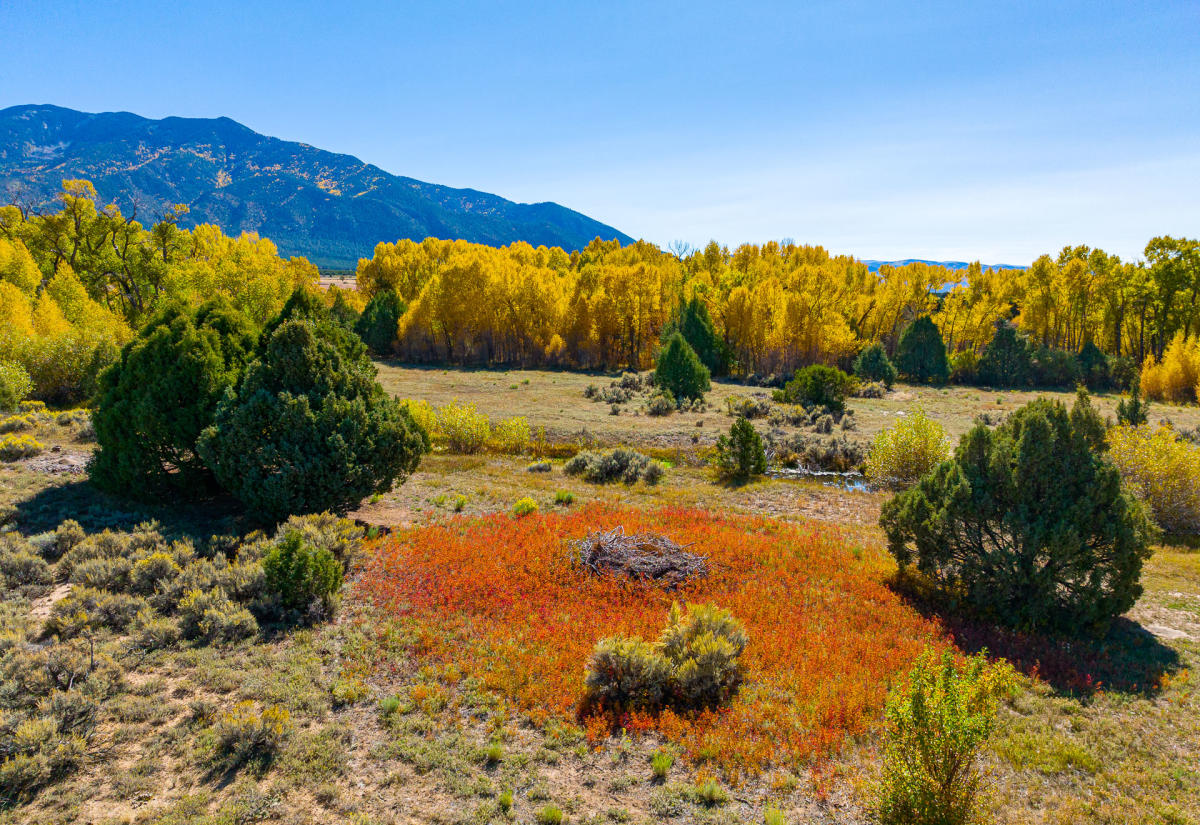 A scenic landscape featuring a circular patch of red soil surrounded by short vegetation. In the background, there is a dense grove of golden-leaved trees at the base of a mountain range. The sky is clear.
