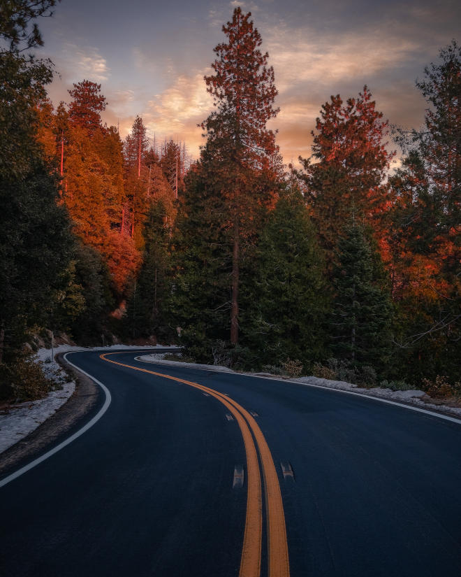 Photo showing winding roadway through green trees at sunset