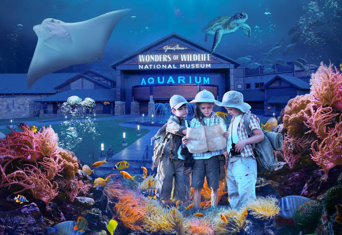 Wonders Of Wildlife Spring Break Camp
