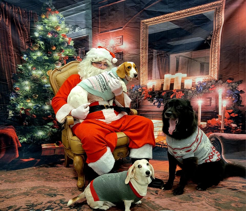 The Majestic Dog Boutique in Mandeville offers pictures with "Santa Paws".