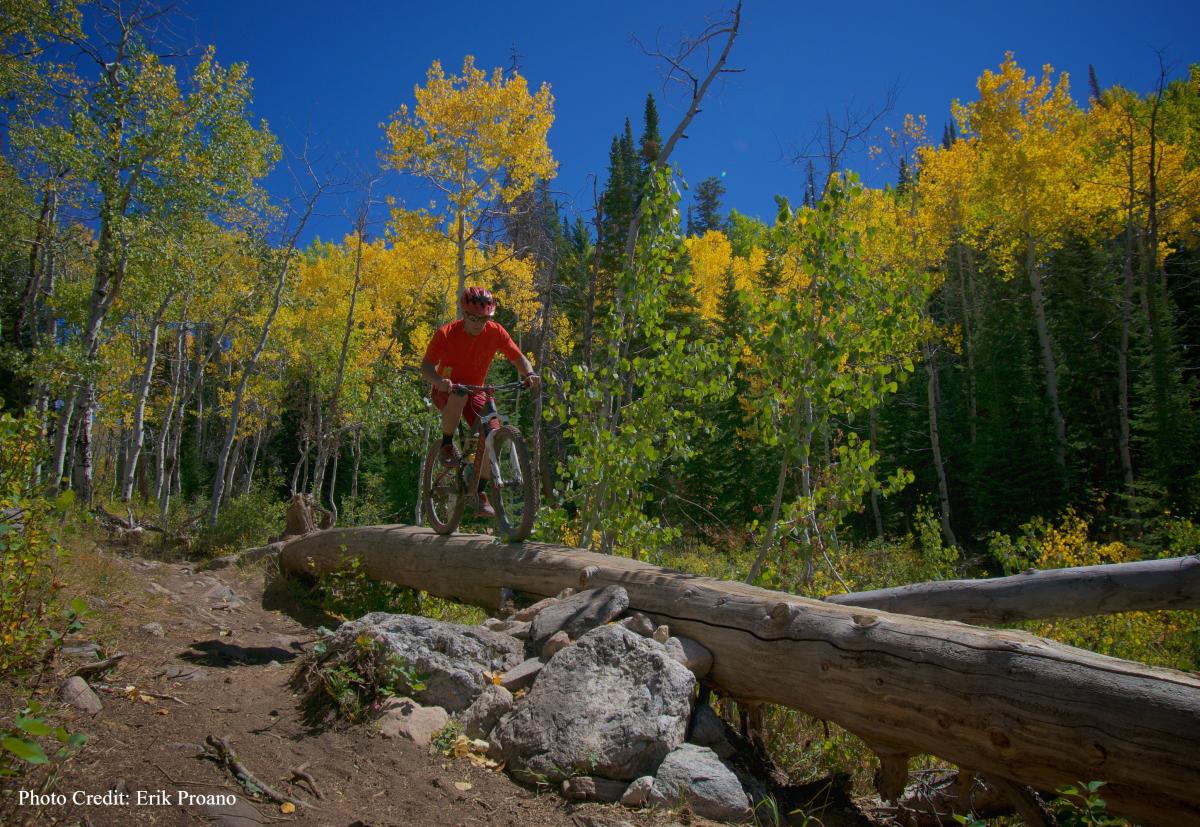 Biking the new BTR trail on Buffalo Pass