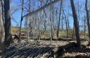 Art In The Wild 2025 Outdoor Exhibition