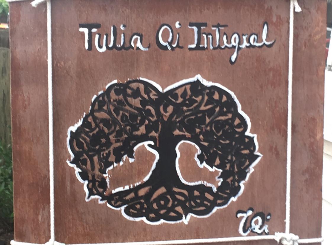 TULIA QI INTEGRAL