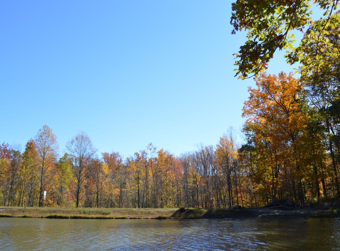 LOCUST SHADE PARK