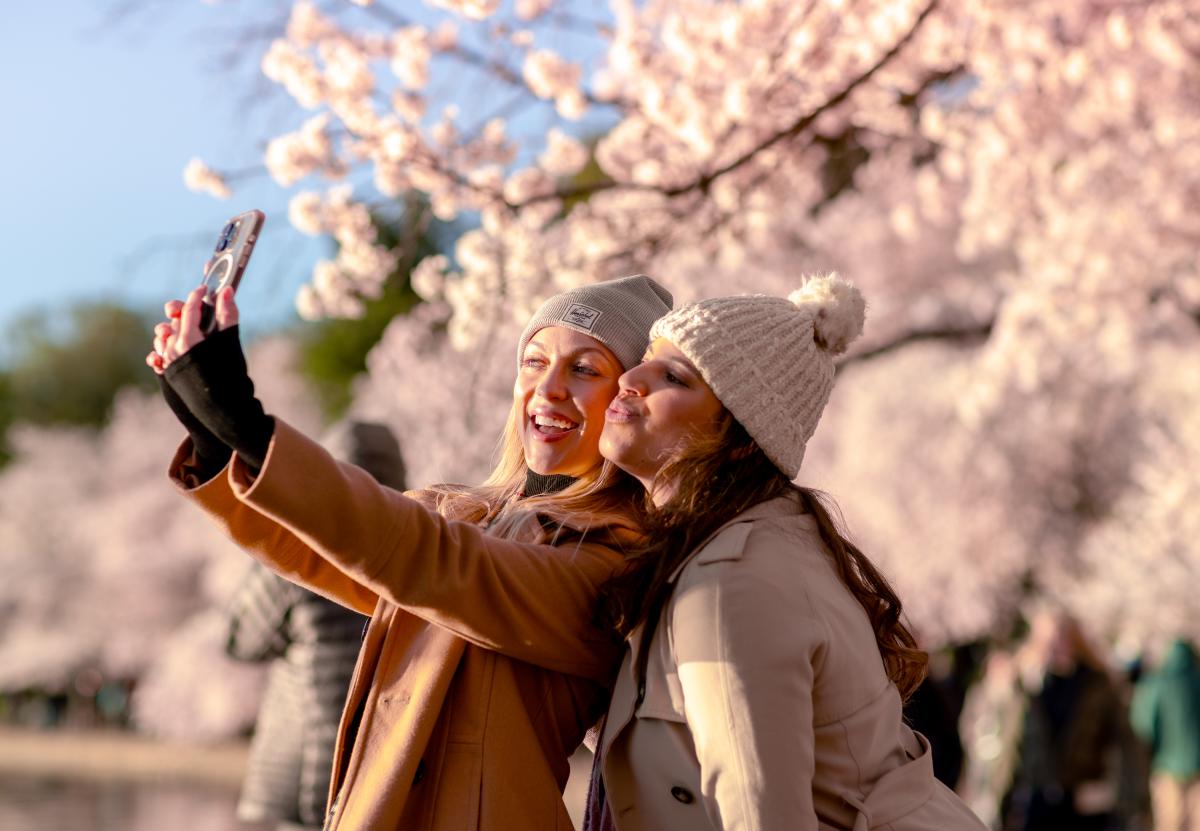 Two girls taking photos in front of the Cherry Blossom trees.