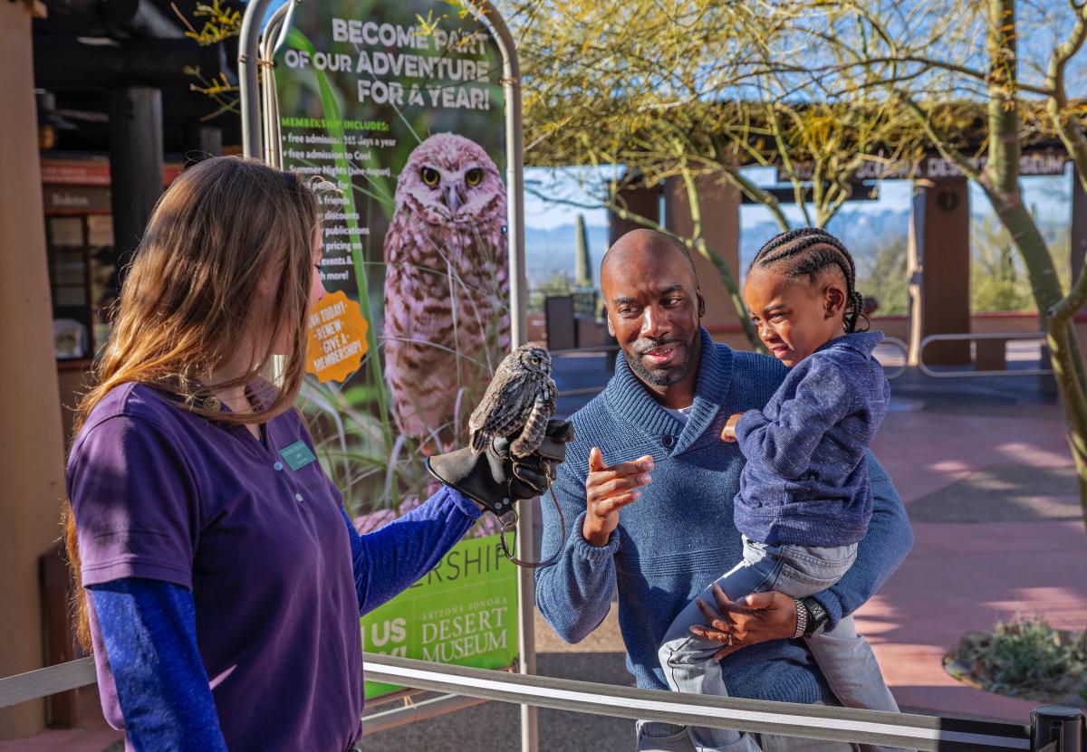 Desert Museum Families