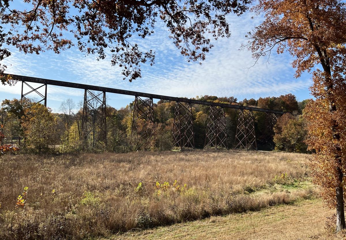 Tulip Trestle