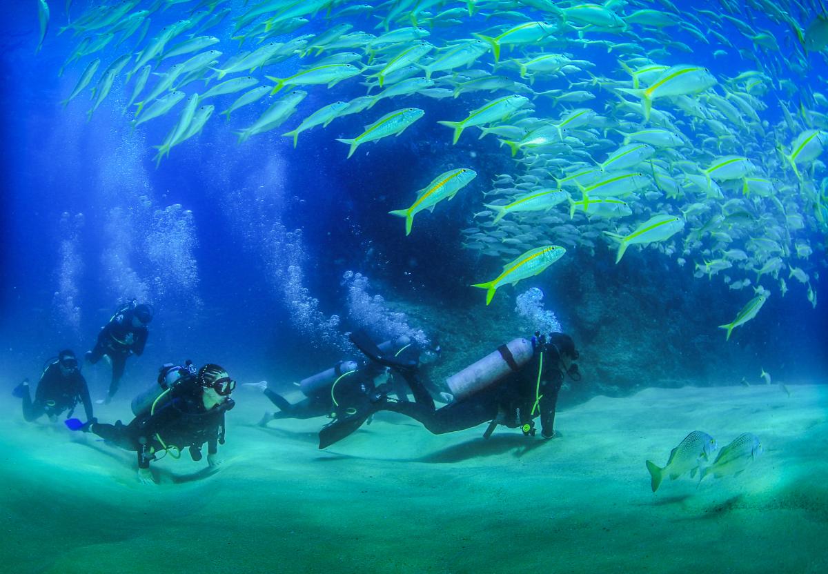 Scuba diving in Los Cabos