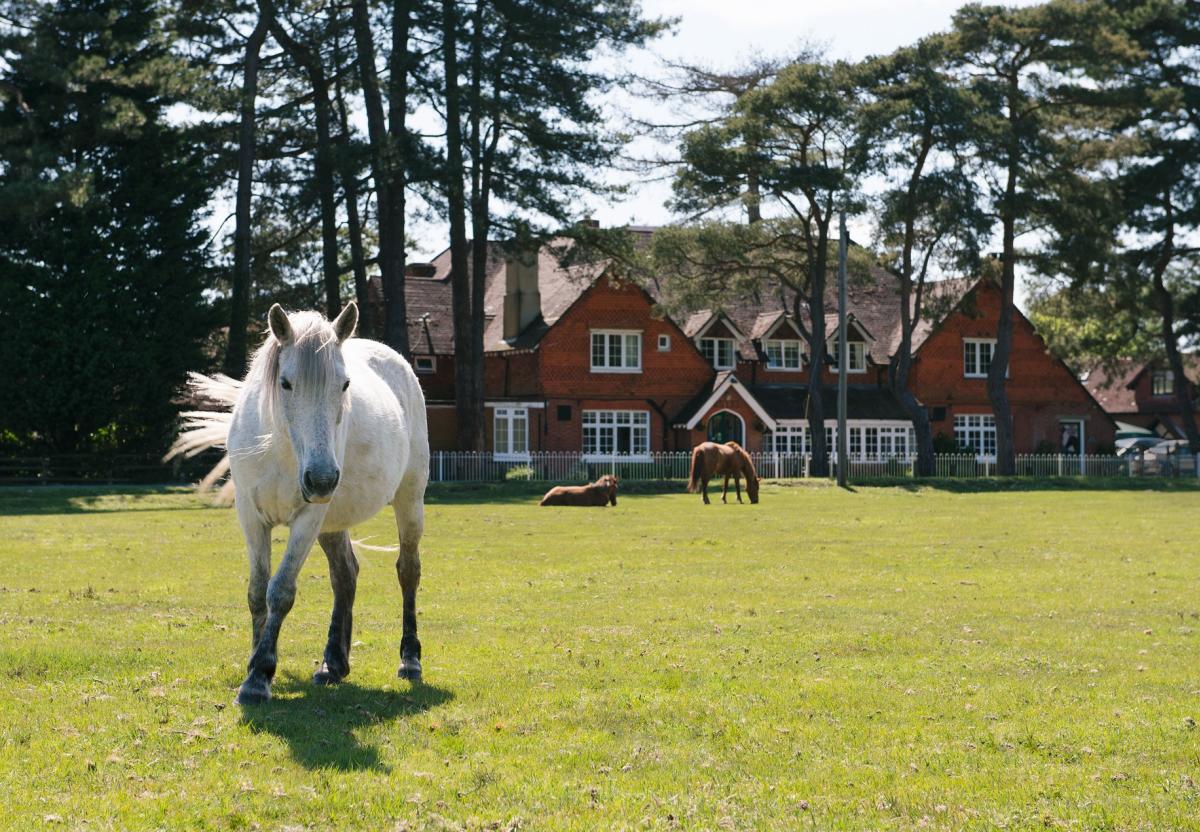 Beaulieu Inn