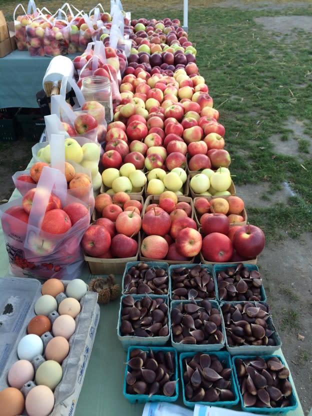 Bakker's Acres