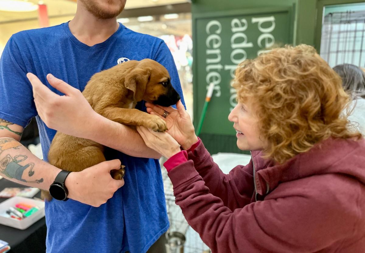 Operation Kindness Holiday Pet Adoptions