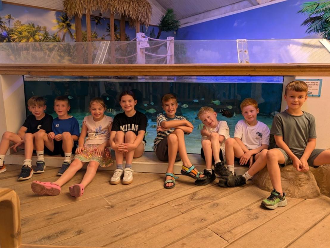 A group of children sat in a row infront of a display at the aquarium.