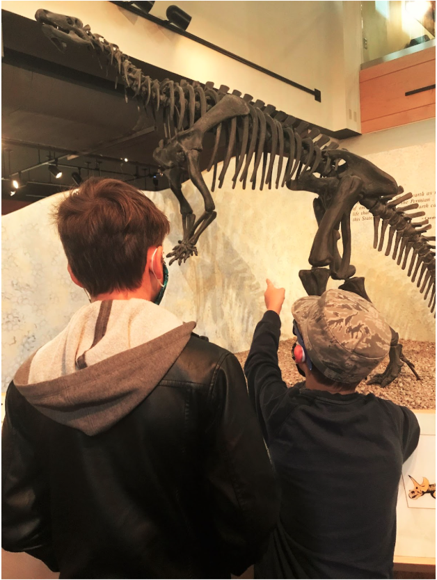 Two children looking at a live skeletal fossil of a dinosaur in a natural history museum.