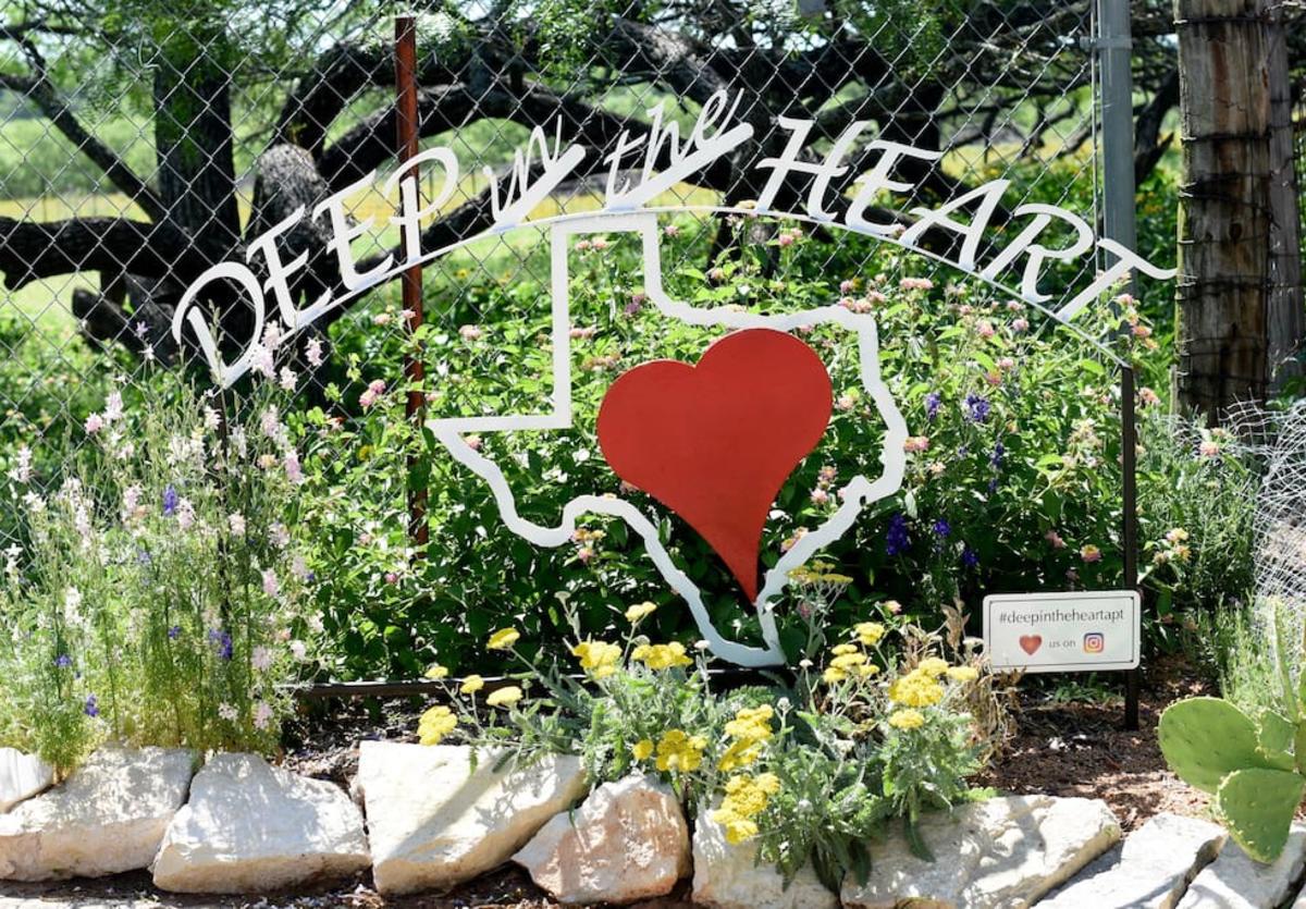 Deep in the Heart 2