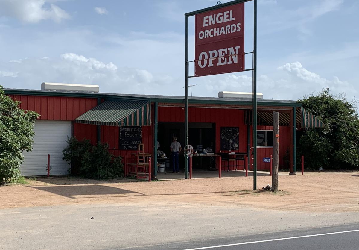 Engel Orchards