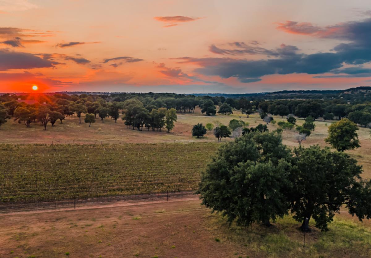 LandofPromiseWinery