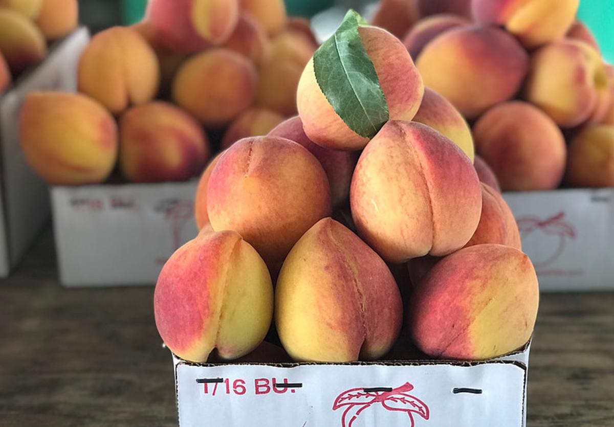 Vogel Orchard Peaches