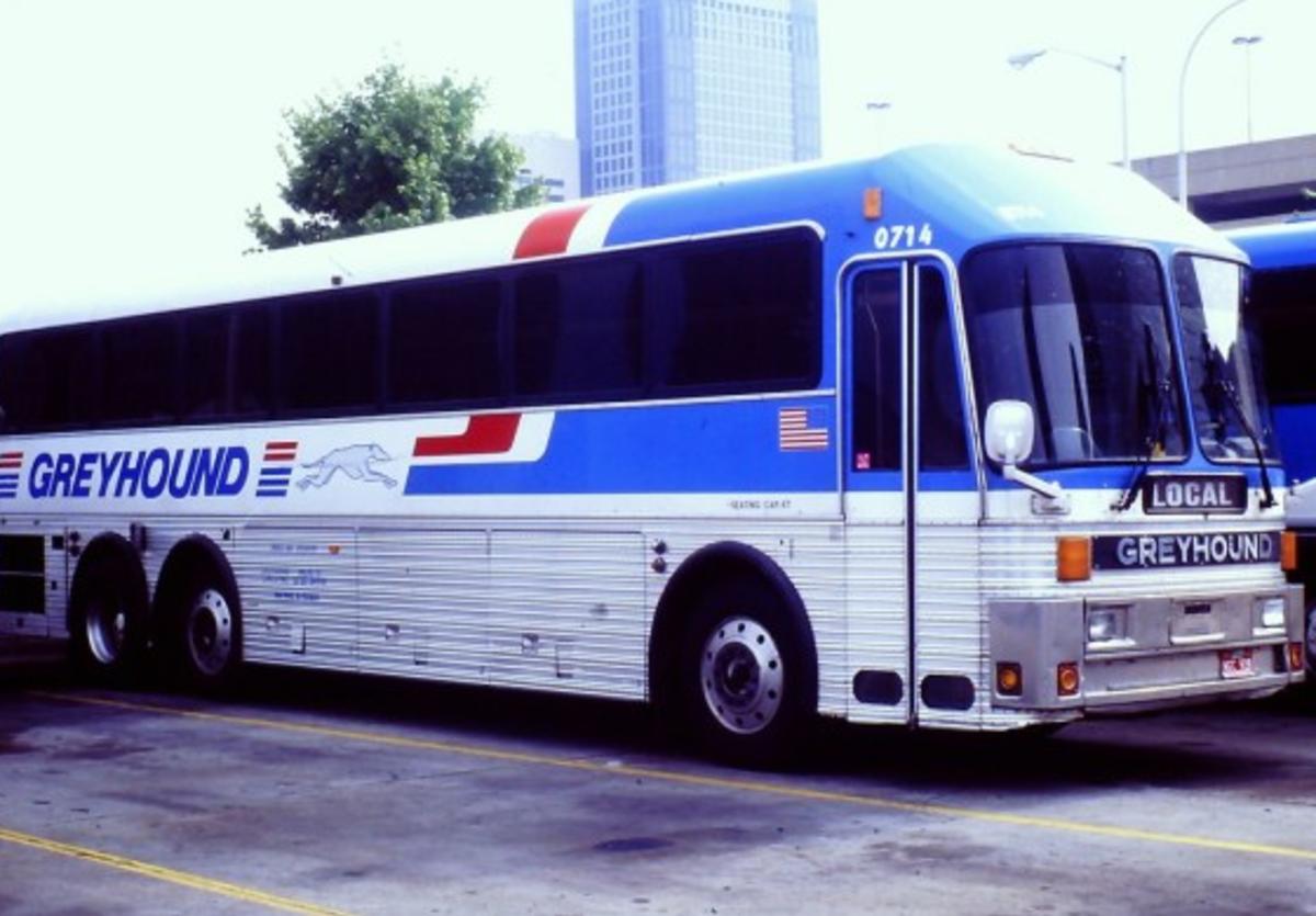 Greyhound Bus