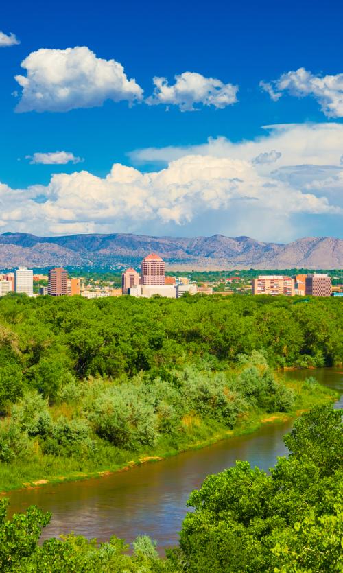 Vertical Albuquerque Skyline