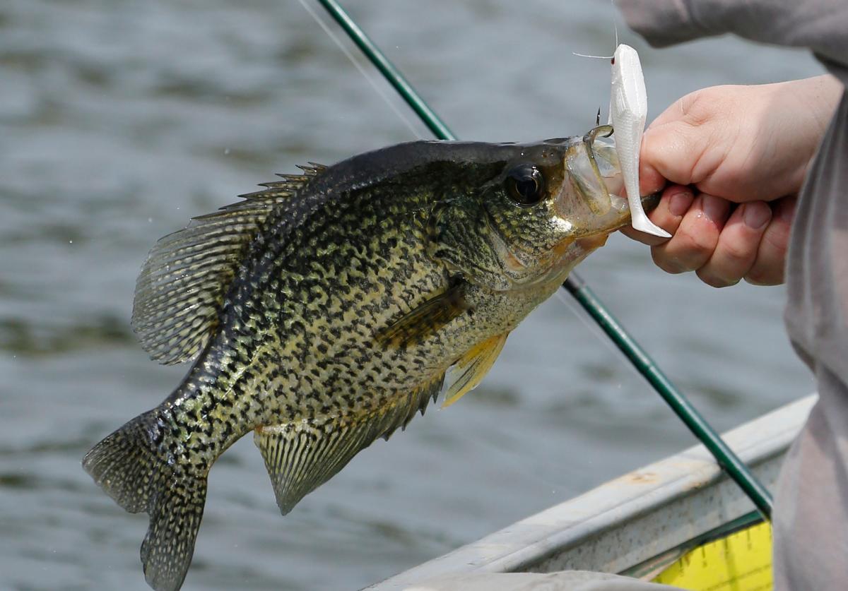 crappie-fishing