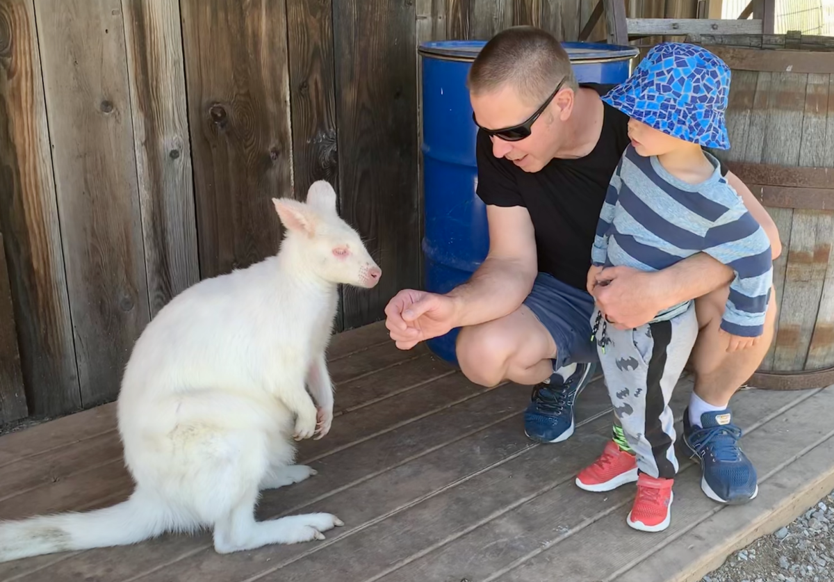 Duane & Son with Kangaroo t Kangaroo Creek Farm