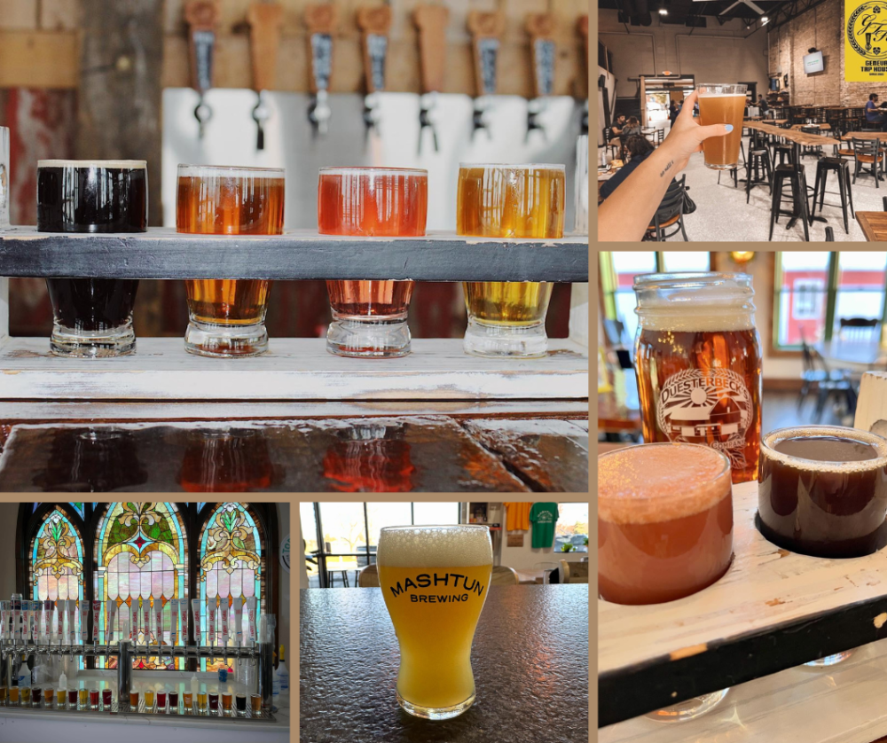 Collage of photos of beer from local breweries.