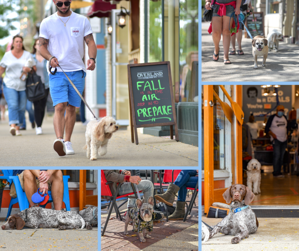 Collage of photos of dogs and their humans shopping in downtown Lake Geneva.