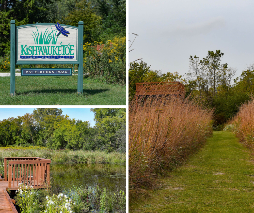 Collage of pictures of Kishwauketoe Nature Conservancy