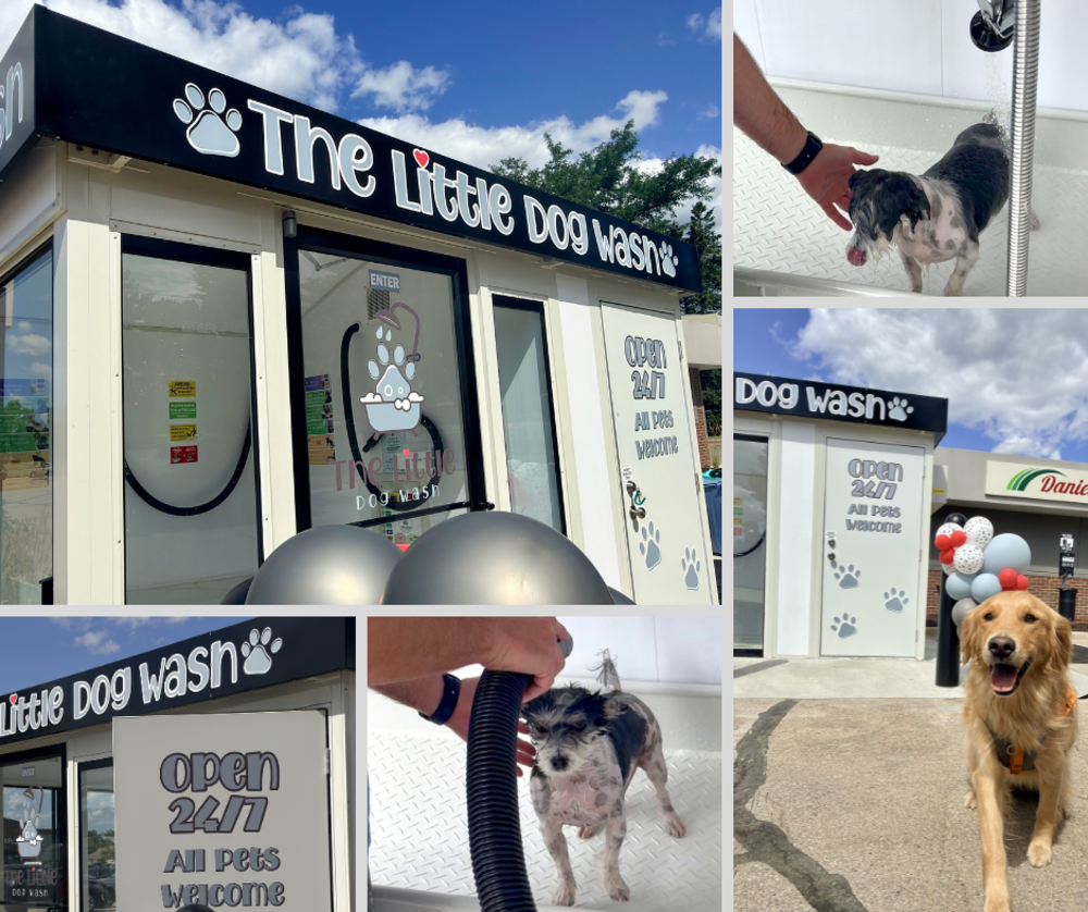 Collage of images of the The Little Dog Wash in Walworth.