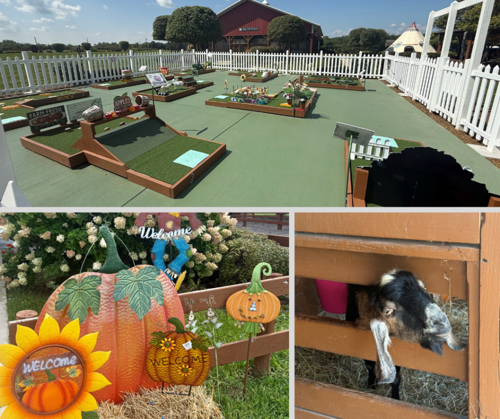 Collage of images of the grounds and play areas at Royal Oak Farm Orchard.