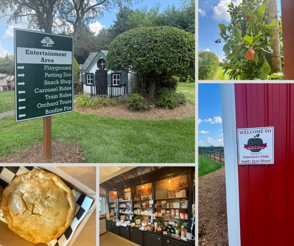 Collage of images of the Royal Oak Farm Orchard property and spaces.
