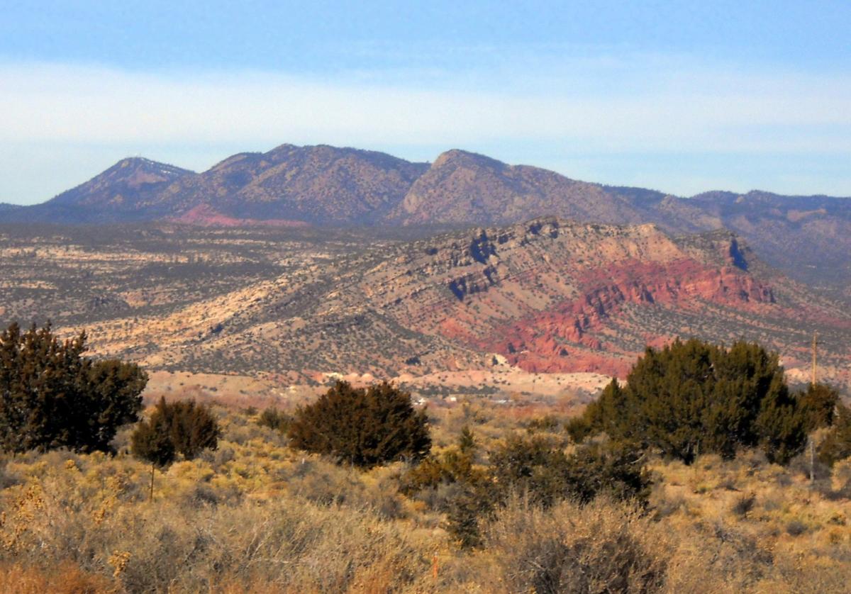 Landscape view of the desert featuring scrub vegetation in the foreground and red rock formations amidst rolling hills in the background, under a clear blue sky.