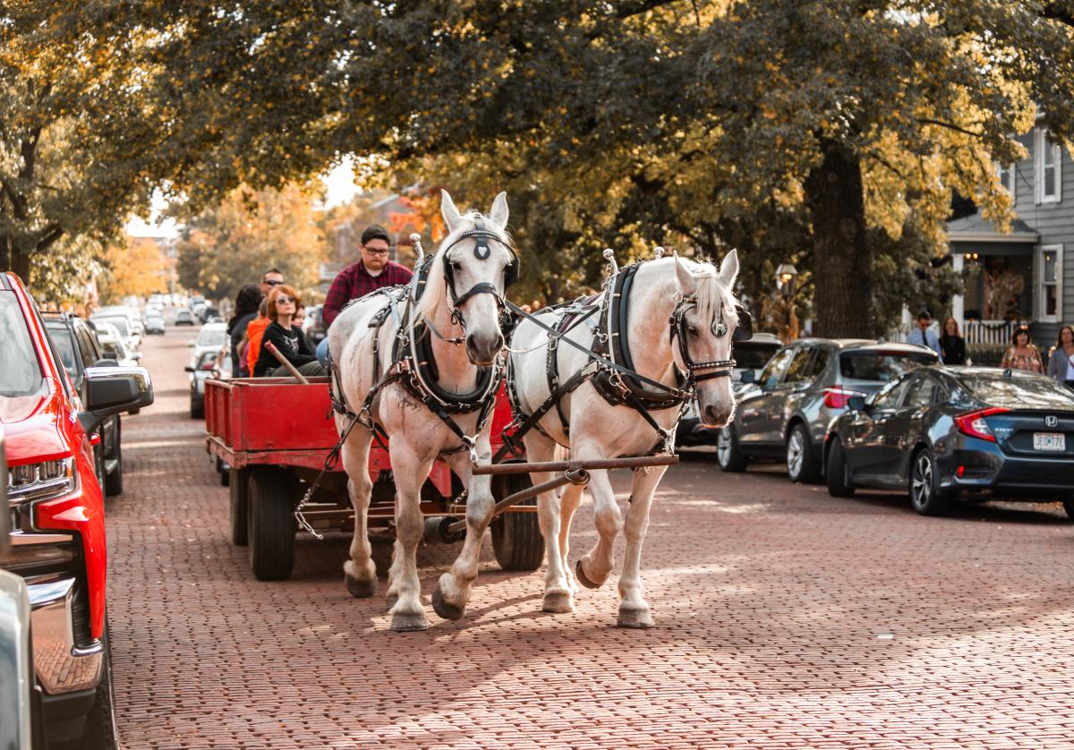 Horse Drawn Carriage Ride