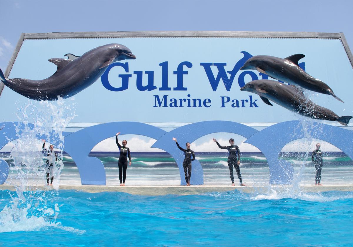gulf world marine park panama city beach florida attractions