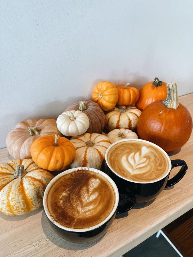 Pumpkin Iced Coffee Cup Fall Coffee Cup Iced Coffee Cup 