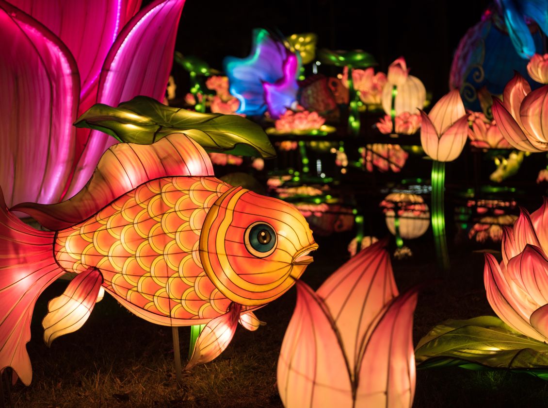 Chinese Lantern Festival 2021