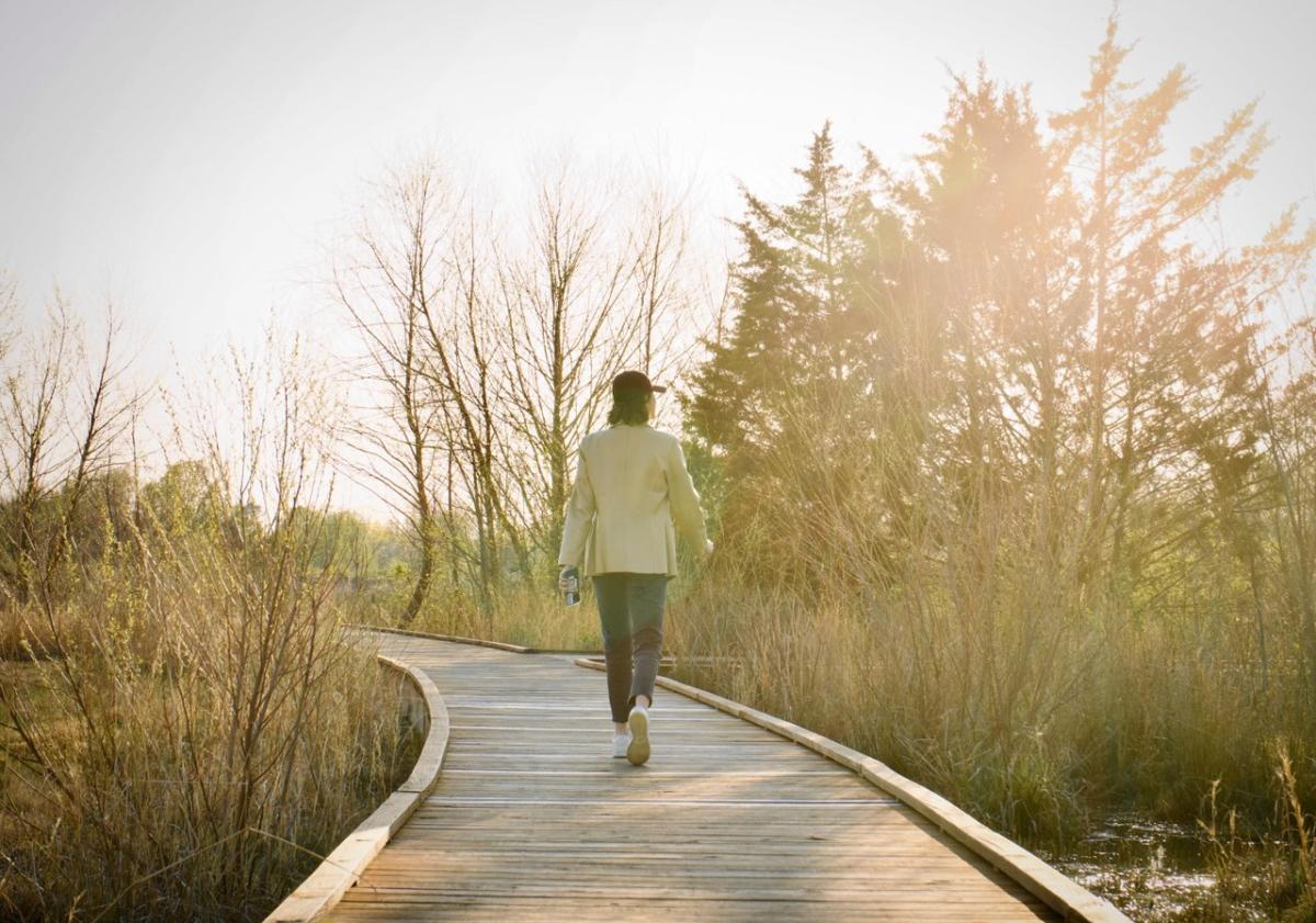 Boardwalks at Osage Park