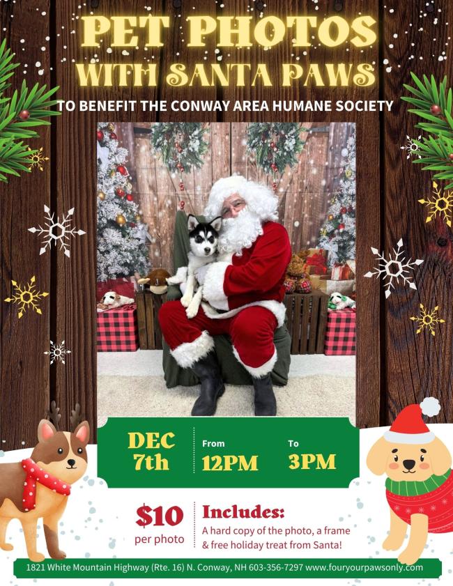 Four Your Paws Only - Pet Photos with Santa Paws