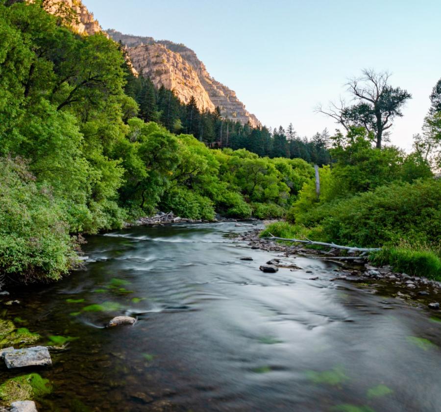 Provo River