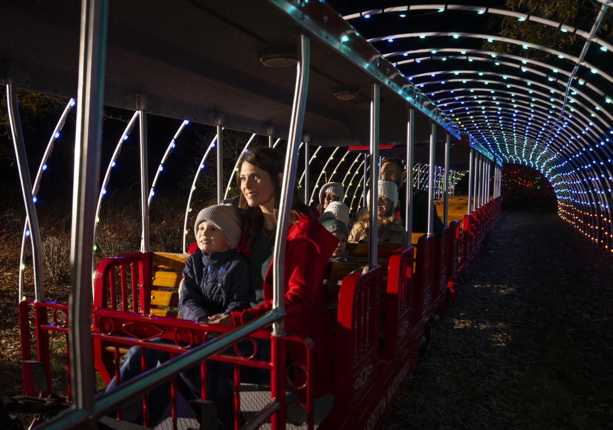 Guide Holiday Lights in Rowan County