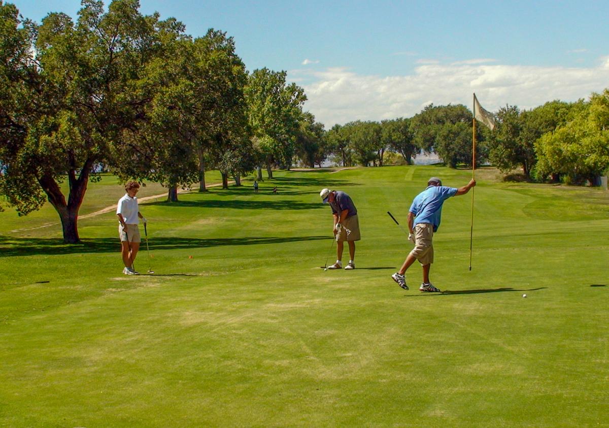 Generate by AI Assist  Three people playing golf on a sunny day, with one holding the flag and the others preparing to putt on a green surrounded by trees.