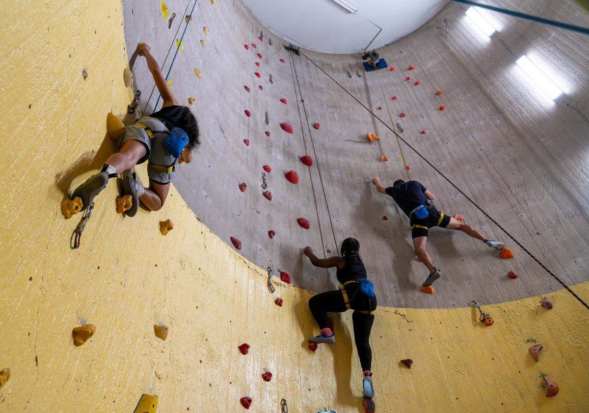 Group of women and men climbing up a wall at High Plains Climbing Gym