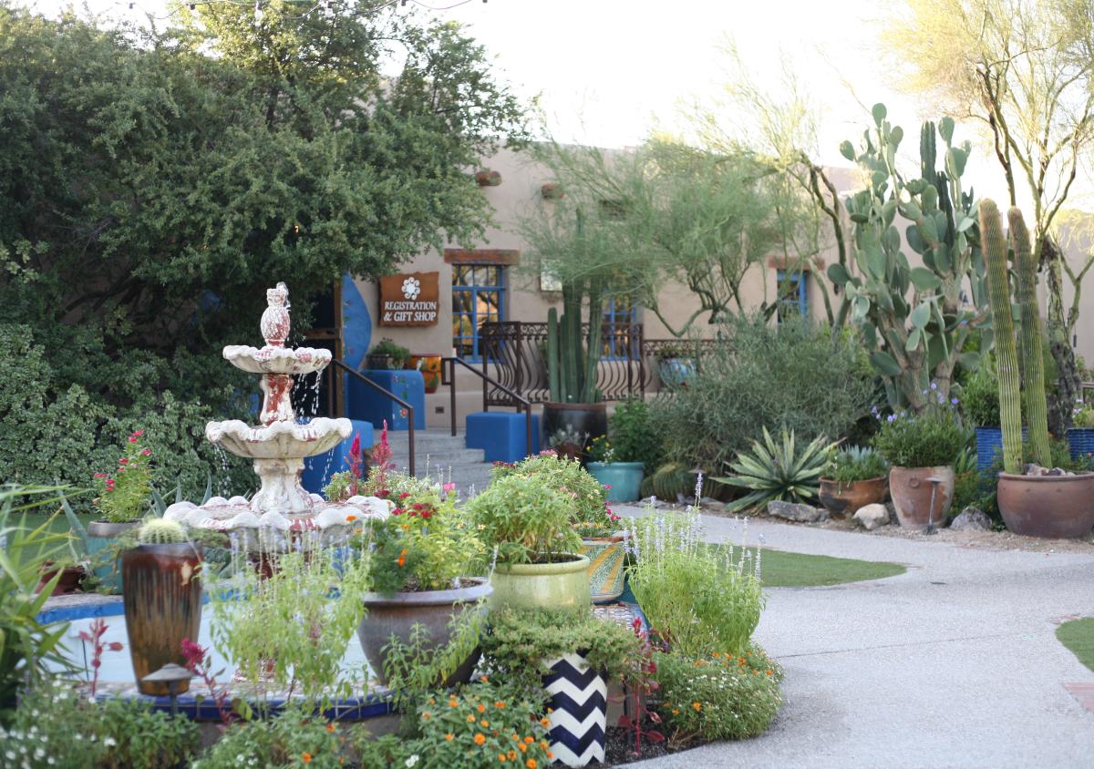 courtyard of Hacienda Del Sol Resort with desert plants and a fountain running with water